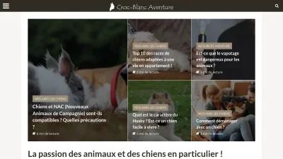 Crocblancaventure.com