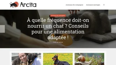Arcita