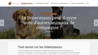Elevage-dobermann.fr 