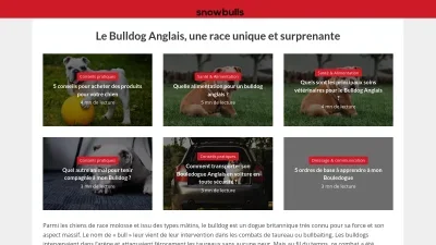Snowbulls.fr