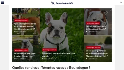 Bouledogue.info