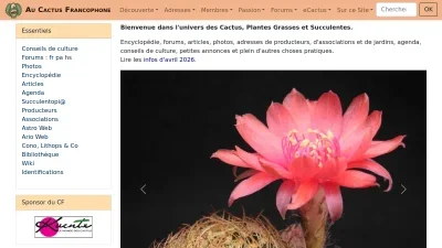 Cactuspro