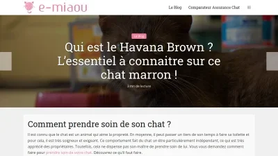 E-miaou.fr