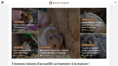 Hamsters Magazine