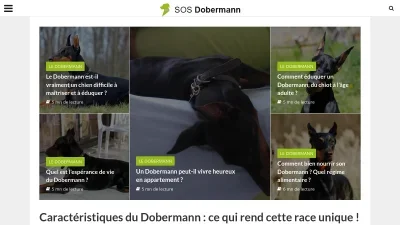Sosdobermann.com