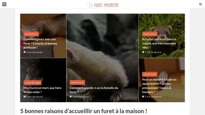 Furet-magazine.fr