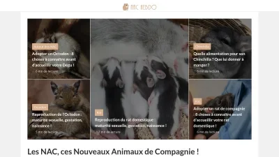 Nac-hebdo.fr
