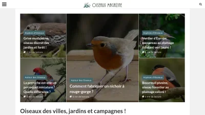 Oiseaux-magazine.com