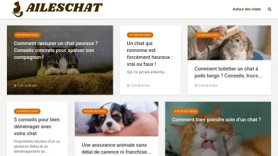 Ailes Chat