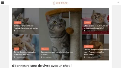Chats Hebdo